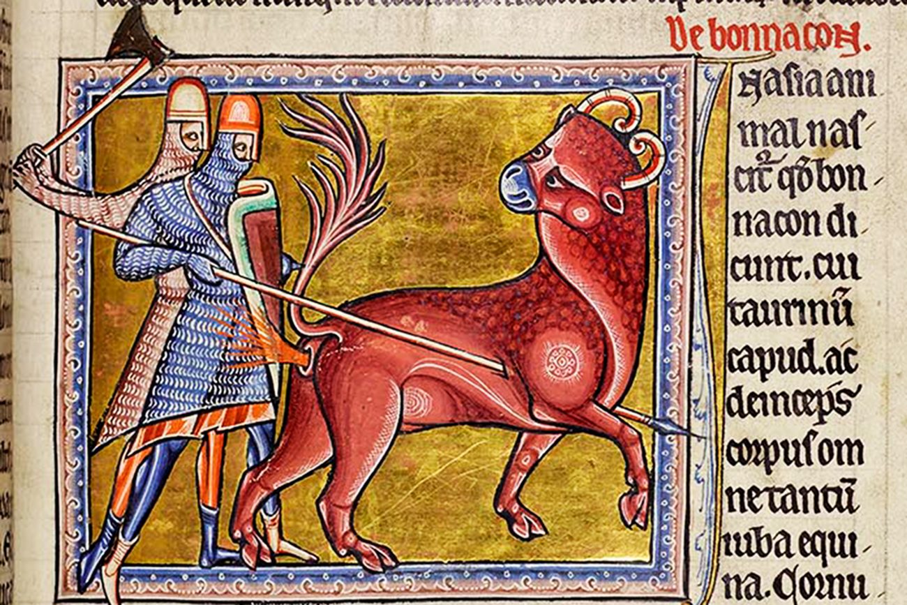 The Monstrous Ant of the Medieval Bestiary