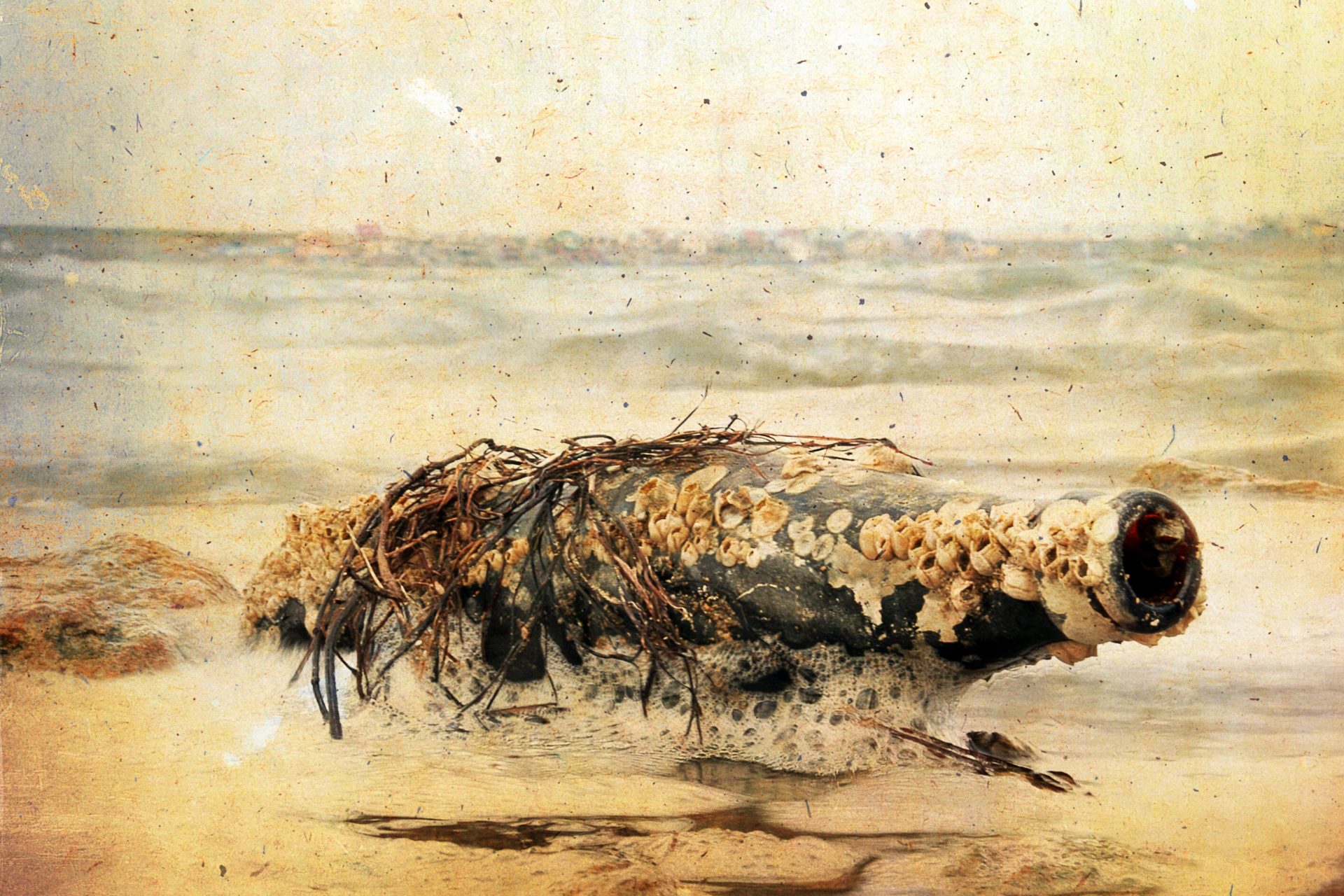 An illustration of an old bottle covered in barnacles and seaweed stuck in the sand on a beach.
